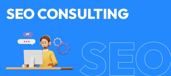 SEO-Consulting