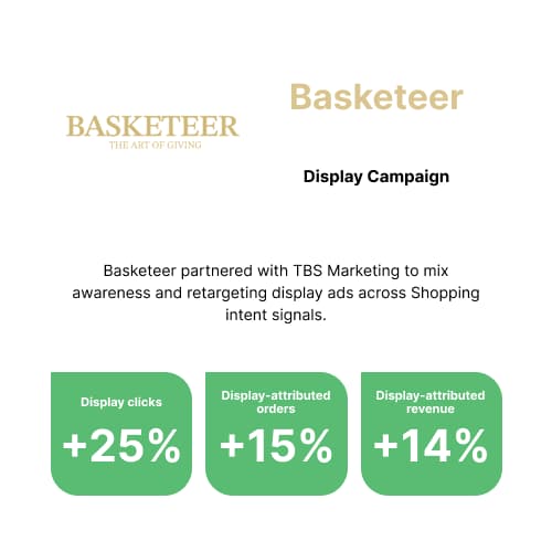 Google Display Ads Basketeer - TBS Marketing SEM case study
