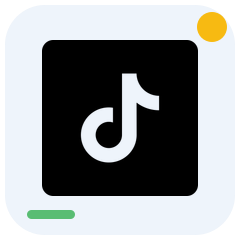 Tiktok icon